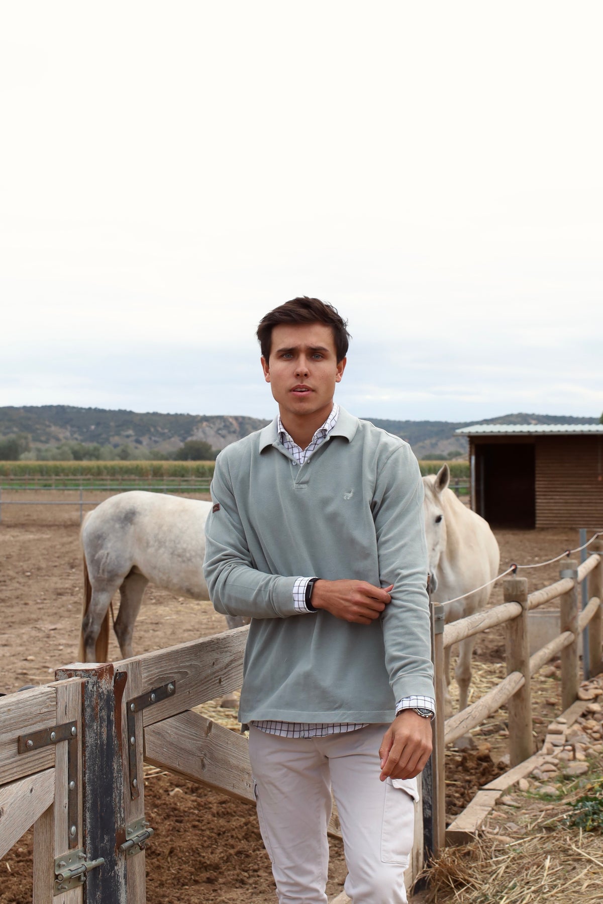 OLIVE COTTON – Polo – vista 3 – MORAY