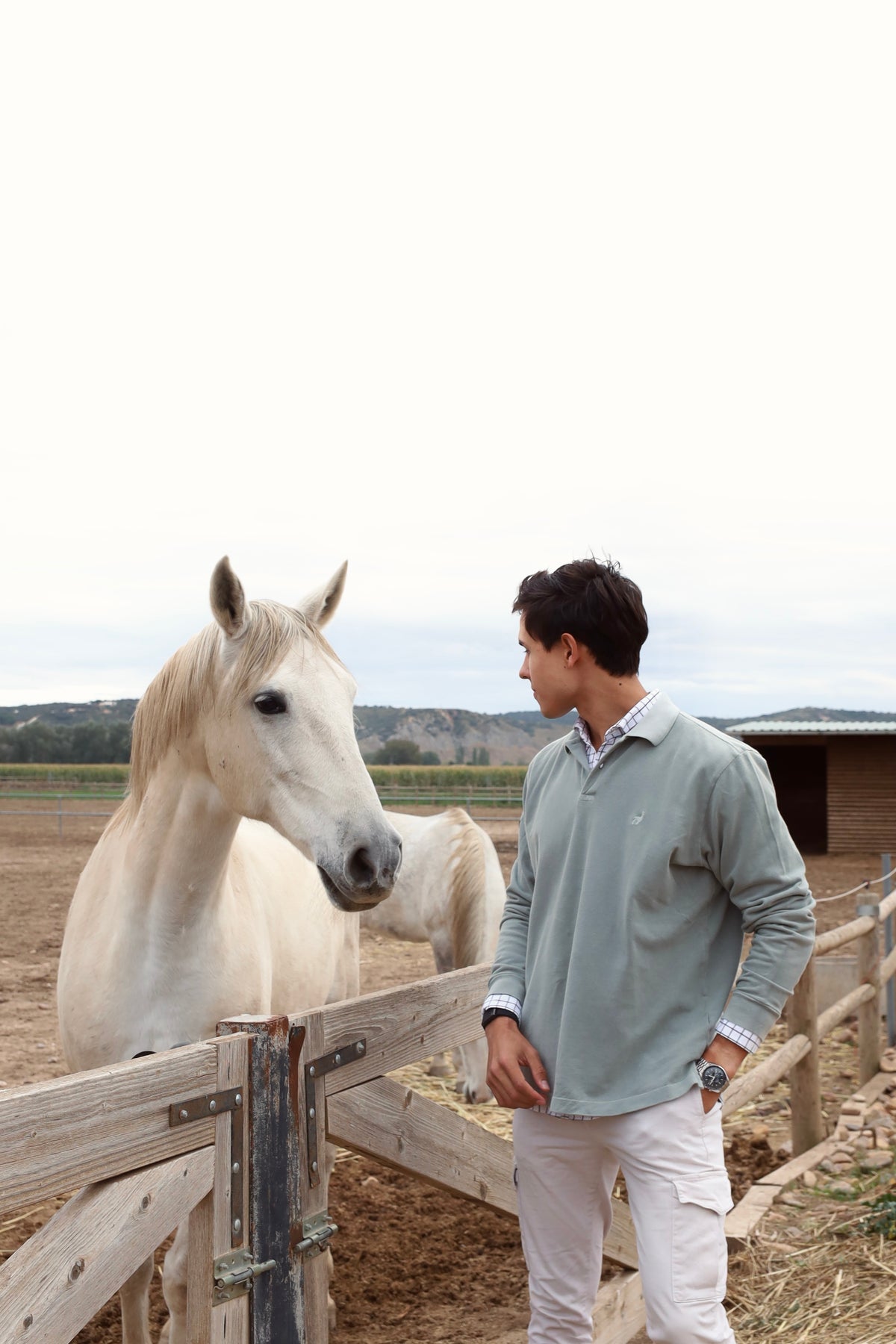 OLIVE COTTON – Polo – vista 2 – MORAY